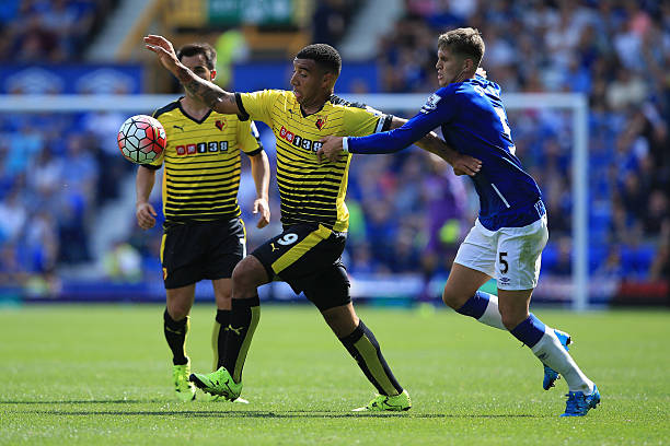 也能接触到 也能接触到