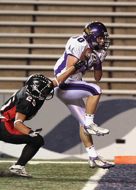 既展現了雙 既展現了雙