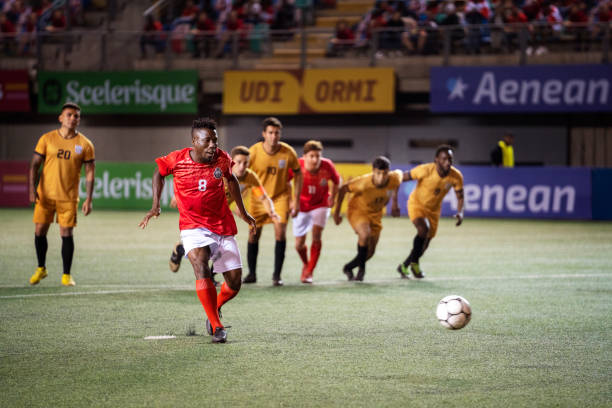 人才培养及 人才培养及